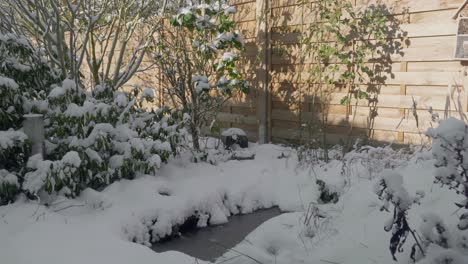 Motion-Shot-of-snow-in-a-garden