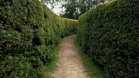 Gehen-Durch-Ein-Gartenlabyrinth-Mit-üppig-Grünen-Buchsbaumhecken---Freihand,-Vorwärtsschuss