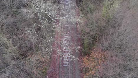 Aerial-top-down-shot-of-old-rail-track-outdoors-surrounded-by-leafless-forest-trees-in-autumn