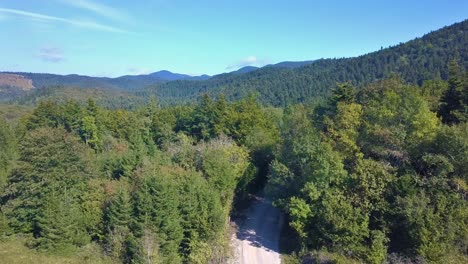 Empty-Dirt-Road-with-Dense-Forests-and-Blue-Sky-Background,-Aerial-Drone-View
