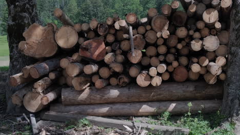 Stapel-Von-Baumstämmen,-Holzindustrie