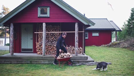 Man-Stocking-A-Pile-Of-Firewoods-Using-A-Small-Wheelbarrow-In-Cabin