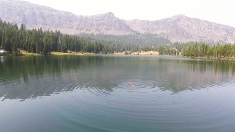 Drone-flies-above-woman-swimming-in-lake