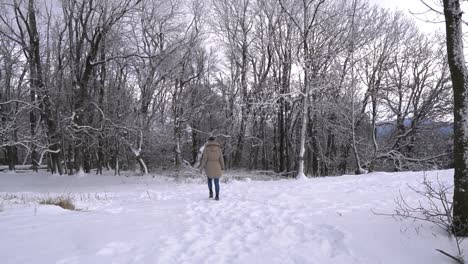 Panning-view-of-caucasian-girl-walking-in-snow-covered-forest,-SLOMO