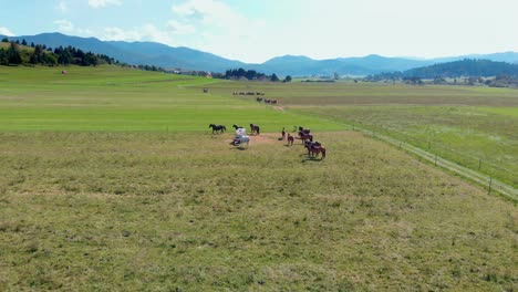 Gruppe-Von-Pferden-Sonnt-Sich-In-Der-Sonne-Auf-Der-Weide-Der-Slowenischen-Bergranch---Luftbild