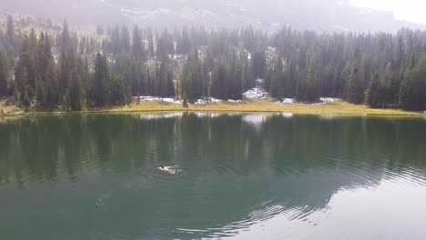 Camera-rotates-around-single-woman-swimming-in-a-beautiful-lake