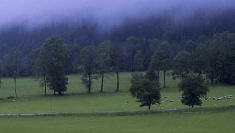 Alpine-pasture-in-fog-and-rain,-Timelapse-of-clouds-above-mountains-and-meadows-with-trees-in-front