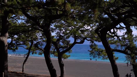View-out-towards-beautiful-blue-ocean-in-between-silhouetted-trees