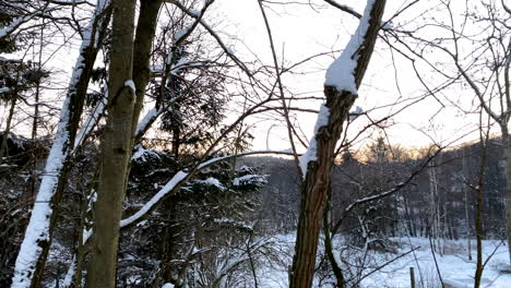 Bäume-Mit-Blattlosen-Ästen-Während-Des-Verschneiten-Wintertages-Im-Waldpark