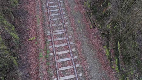 Railway-Track-With-Fallen-Leaves-At-Daytime