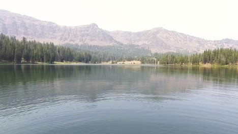 Drone-flies-above-woman-swimming-in-beautiful-lake-alone