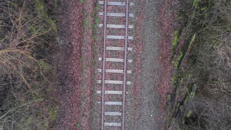 Ascending-aerial-top-down-of-railroad-track-with-falling-leaves-of-trees-during-daytime-in-autumn