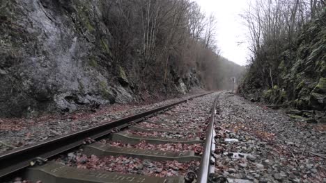 Flying-backwards-along-a-wet-abandoned-railroad-track-in-the-woods---close-aerial-drone