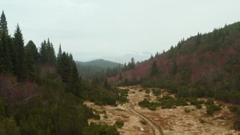 Luftlandschaft-Des-Beleg-Berges-Im-Herbst-Mit-Roten-Bäumen,-Die-An-Einem-Bewölkten-Tag-In-Immergrünen-Wald-Gemischt-Sind