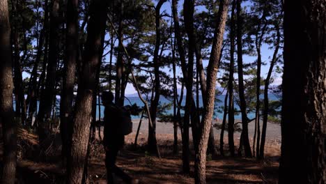 Beautiful-male-silhouette-walking-through-pine-forest-with-blue-ocean-in-background
