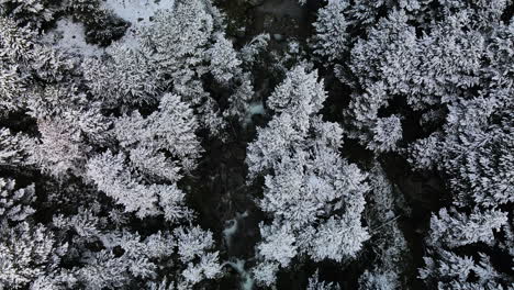 Aerial-Cenital-View-Of-Snowy-Day-In-La-Losa,-La-Cerdaña