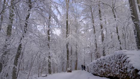 POV-walking-through-winter-wonderland-with-big-piles-of-snow-covered-firewood-in-a-forest-during-winter-in-Bavaria,-Germany