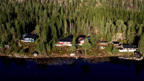 Reflejo-De-Los-Pinos-En-El-Lago-En-Noruega-Con-Cabañas-Y-Casas-Modernas