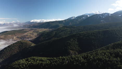 Bosque-En-Las-Montañas-De-La-Cerdanya