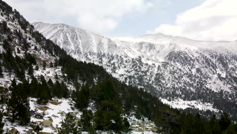 Luftreisen-über-Den-Wald-Mit-Einigen-Schneebedeckten-Bergen-In-La-Llosa,-La-Cerdanya