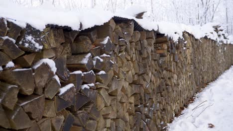 Moving-alongside-huge-pile-of-snow-covered-firewood-in-a-forest-during-winter-in-Bavaria,-Germany