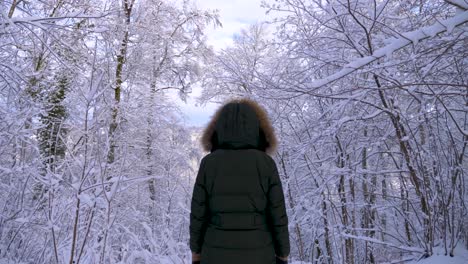 Woman-wearing-winter-gear-strolling-through-winter-wonderland-forest-with-snow-covered-firewood-during-winter-in-Bavaria,-Germany