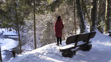 Backview-Of-Woman-In-Red-Coat-Standing-Near-River-Cliff-Next-To-A-Wooden-Bench-During-Sunny-Winter-Day