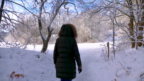 Joven-Mujer-Elegante-Con-Ropa-De-Invierno-Paseando-Por-El-Bosque-Invernal-Con-Leña-Cubierta-De-Nieve-Durante-El-Invierno-En-Baviera,-Alemania