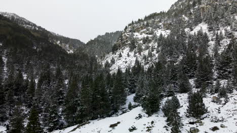Panoramablick-Auf-Den-Wald-Und-Die-Schneebedeckten-Berge-In-La-Llosa,-La-Cerdanya
