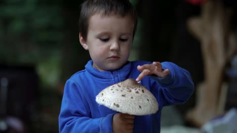 Little-caucasian-boy-tapping-huge-flat-mushroom-with-his-tiny-index-finger,-SLOW-MOTION