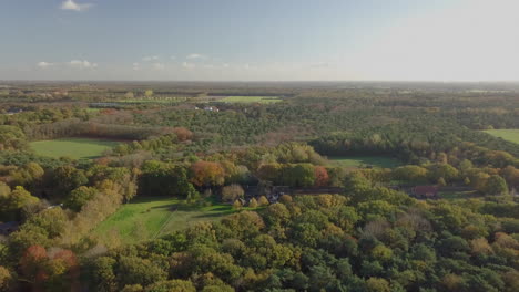 Aerial-drone-shot-of-flying-over-the-great-forest-in-the-Netherlands