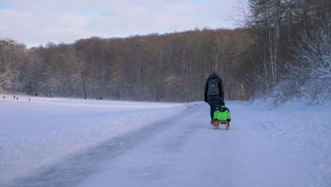 Young-mother-pulling-her-son-on-sleigh-along-while-walking-through-winter-wonderland-forest-during-winter-in-Bavaria,-Germany