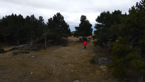 Hiker-on-a-red-coat-walking-between-the-trees-and-arriving-to-a-viewpoint-to-see-all-La-Cerdanya