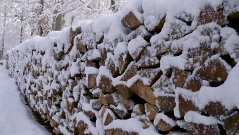 Im-Winter-In-Bayern,-Deutschland,-Entlang-Riesiger-Stapel-Von-Schneebedecktem-Brennholz-In-Einem-Wald-Spazieren