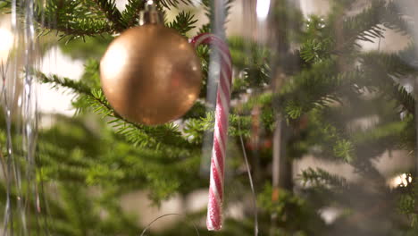 Person-Hand-Platzieren-Süßigkeiten-Zuckerrohr-Dekoration-Am-Weihnachtsbaum