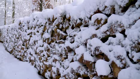 Großer-Haufen-Schneebedecktes-Brennholz-Im-Winterwunderland-In-Einem-Wald-Im-Winter-In-Bayern,-Deutschland