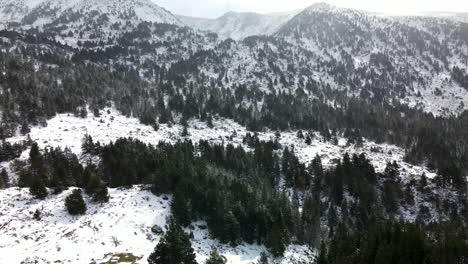Panoramic-aerial-view-of-the-snowy-forest-in-the-mountains-in-La-Cerdanya