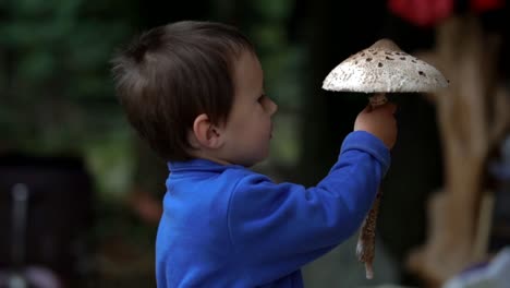 Little-caucasian-boy-holding-and-admiring-huge-flat-mushroom,-SLOW-MOTION