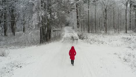 Woman-In-Red-Coat-Walking-Alone-To-The-Forest-On-A-Cold-Winter-Day---aerial-drone