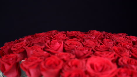 Red-roses-bed-spinning-black-background-detail-shot