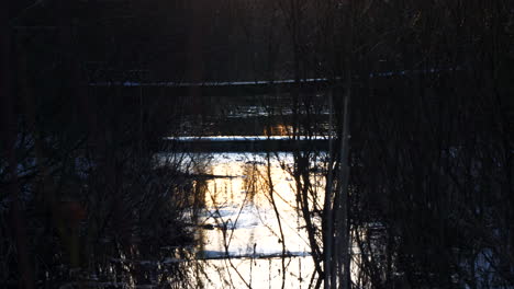 Overgrown-winter-river-stream-in-golden-morning-sunrise,-tilting-up-towards-sun