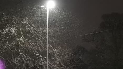 Peaceful-snowfall-across-street-light-seasonal-town-neighbourhood-winter-night-scene