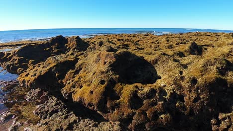 Rocas-Con-Líquenes-Están-Expuestas-En-La-Costa-Cuando-Baja-La-Marea,-Puerto-Peñasco,-Golfo-De-California,-México