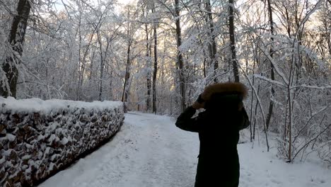Junge-Stilvolle-Frau,-Die-Im-Winter-In-Bayern,-Deutschland,-Mit-Schneebedecktem-Brennholz-Durch-Den-Winterwunderlandwald-Schlendert