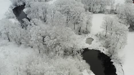 River-With-Dark-Stagnant-Water-Surrounded-By-Snowy-Landscape-In-Winter---aerial-drone