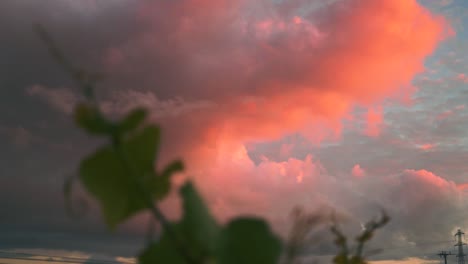 Dolly-shot-of-beautiful-colored-clouds-during-dusk-at-a-vineyard-in-Waipara,-New-Zealand