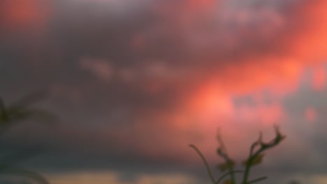 Hochkippen-Von-Wunderschönen-Farbigen-Wolken-Hinter-Einer-Weinrebe-In-Einem-Weinberg-Während-Der-Abenddämmerung-In-Waipara,-Neuseeland