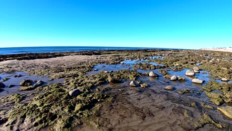 Low-tide-exposes-rocks,-sand,-and-lichens-along-the-beach-Rocky-Point,-Puerto-Peñasco,-Gulf-of-California,-Mexico