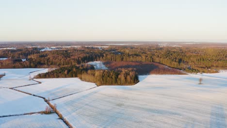 Wunderbare-Winterlandschaft-Mit-Schneebedeckten-Feldern-Und-üppigen-Kiefern-An-Einem-Kalten-Sonnigen-Tag---Drohnenaufstieg