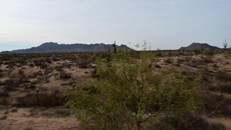 Tiro-Panorámico-Del-Desierto-Del-Valle-De-Phoenix